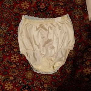 NWT Brief Panties